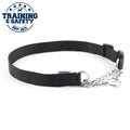 Nylon & Chain Dog Collar - Red or Black: Black / Collar 2-4