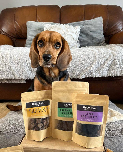 Beef & Chicken Dog Treats - 75g