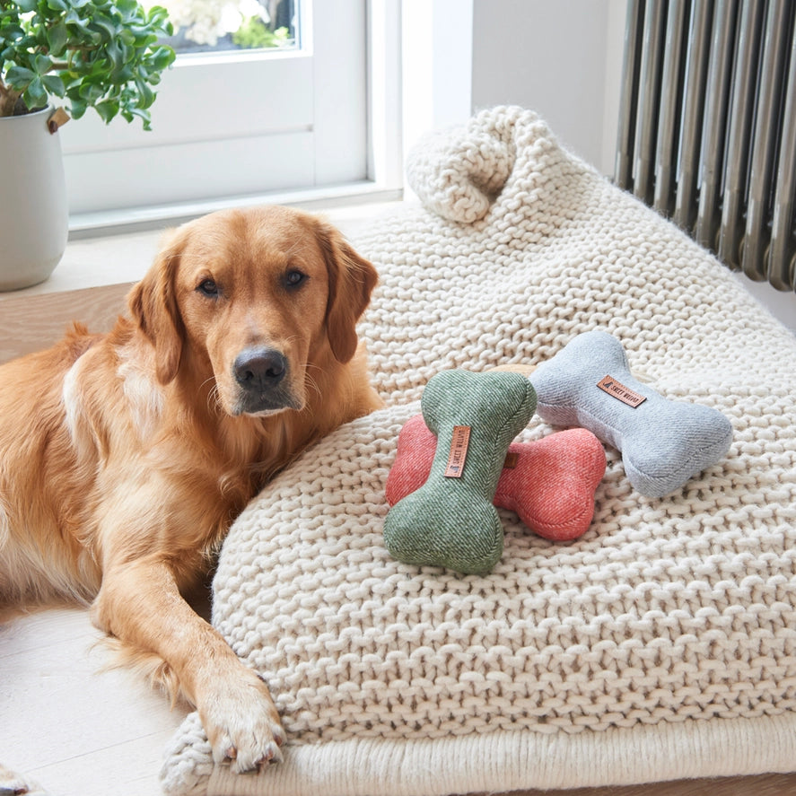 Dog Toy - Green Tweed Bone - Large