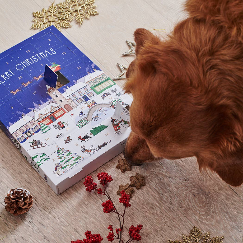 Christmas Dog Treat Advent Calendar