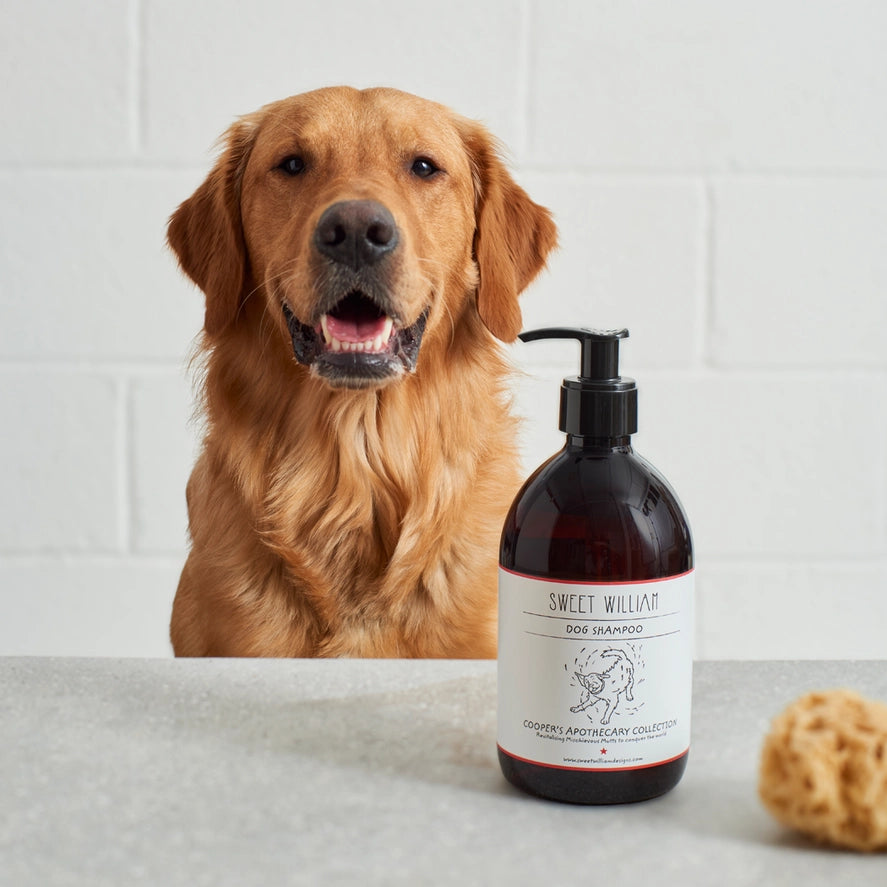 Dog Grooming - Shampoo