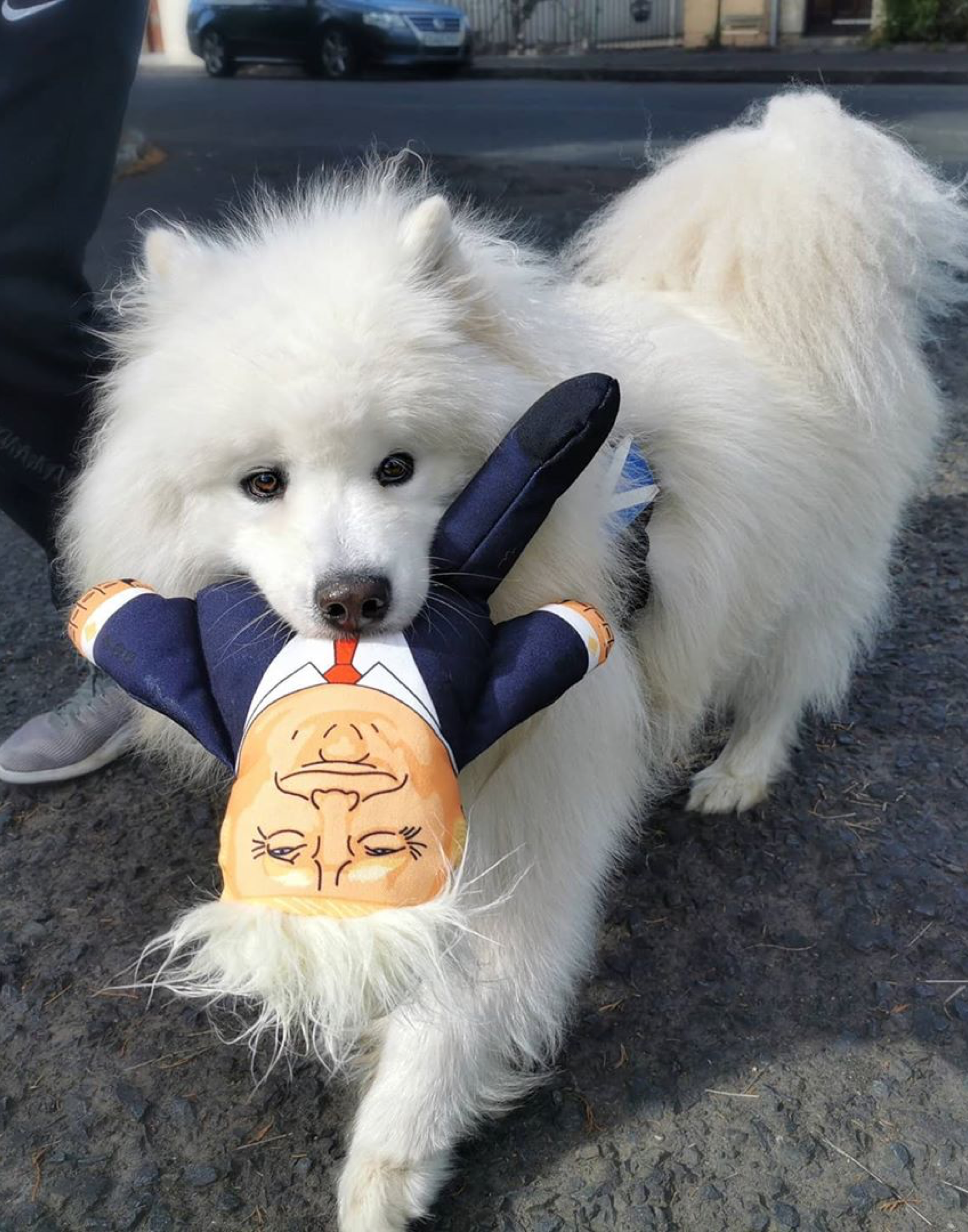 Donald Trump Dog Toy: Regular