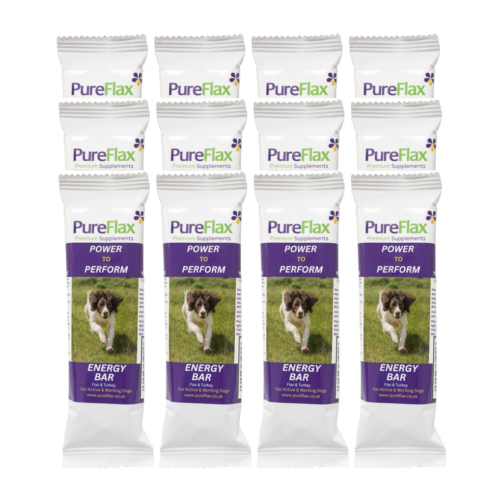 PureFlax Energy Bar - 12 Pack