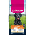 Eukanuba Dog Junior Large Breed Chicken 12kg