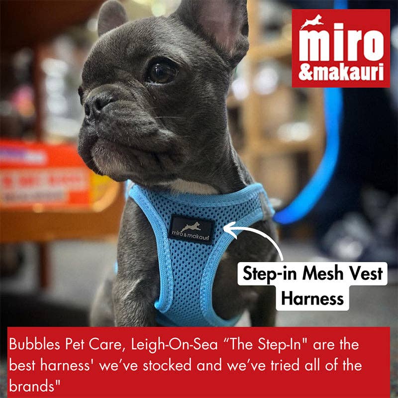 Step-in Air Mesh Dog Harness LARGE Country Green