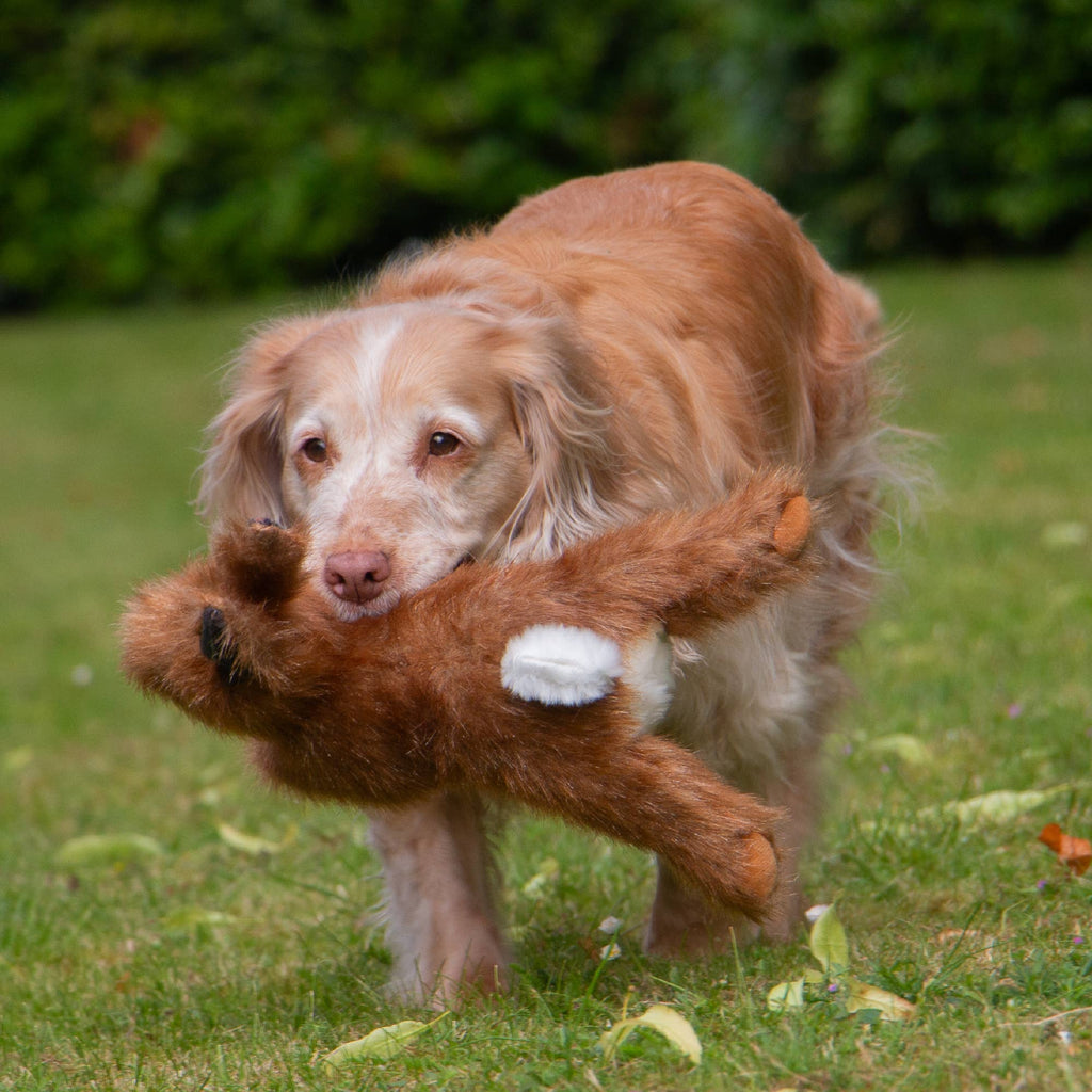 Ancol Heritage Collection Hare Like Dog Toy