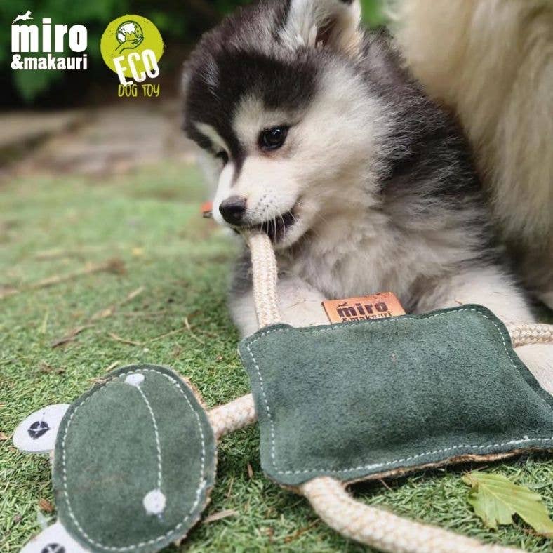 Eco Dog Toys By Miro & Makauri - Freddie the Frog: Freddie