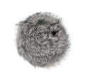 Rabbit Balls Classic Grey