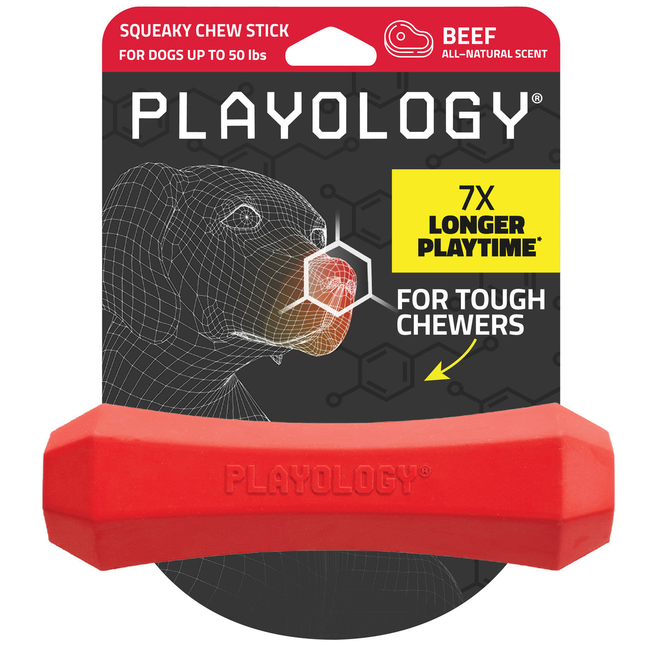 Playology Squeaky chew stick - beef - medium
