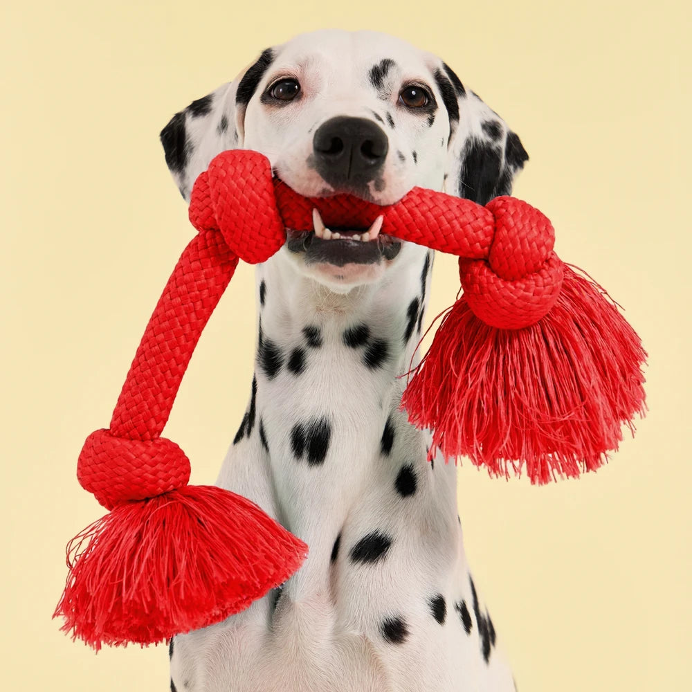 Playology Dri-tech rope - beef large