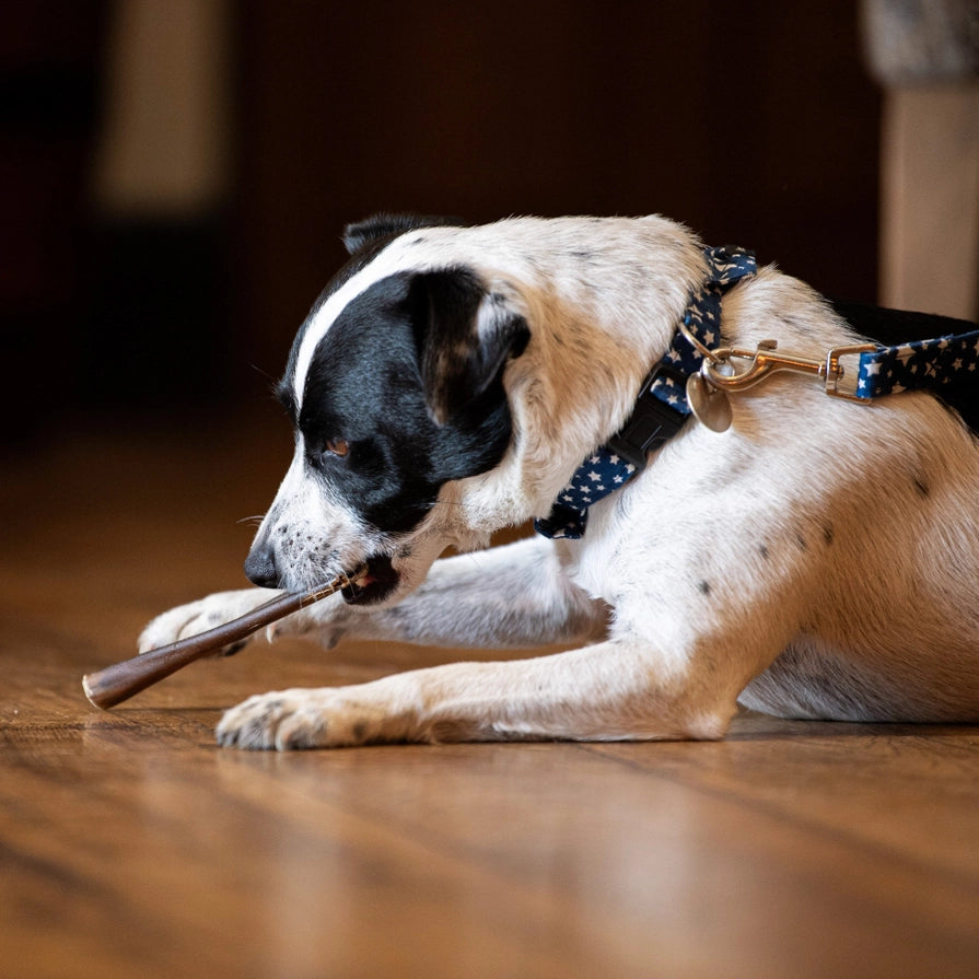 The Canine Menu Natural Dog Chew Buffalo