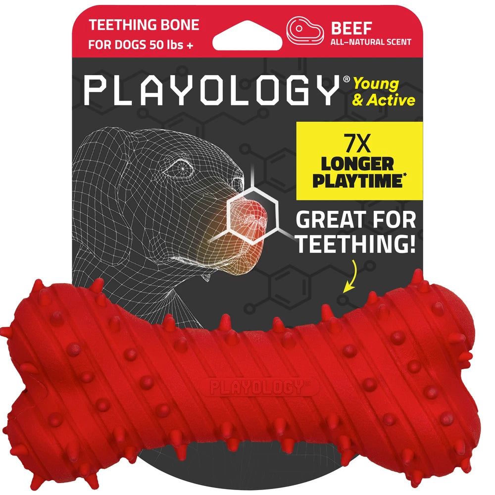 Playology Teething bone - beef - large