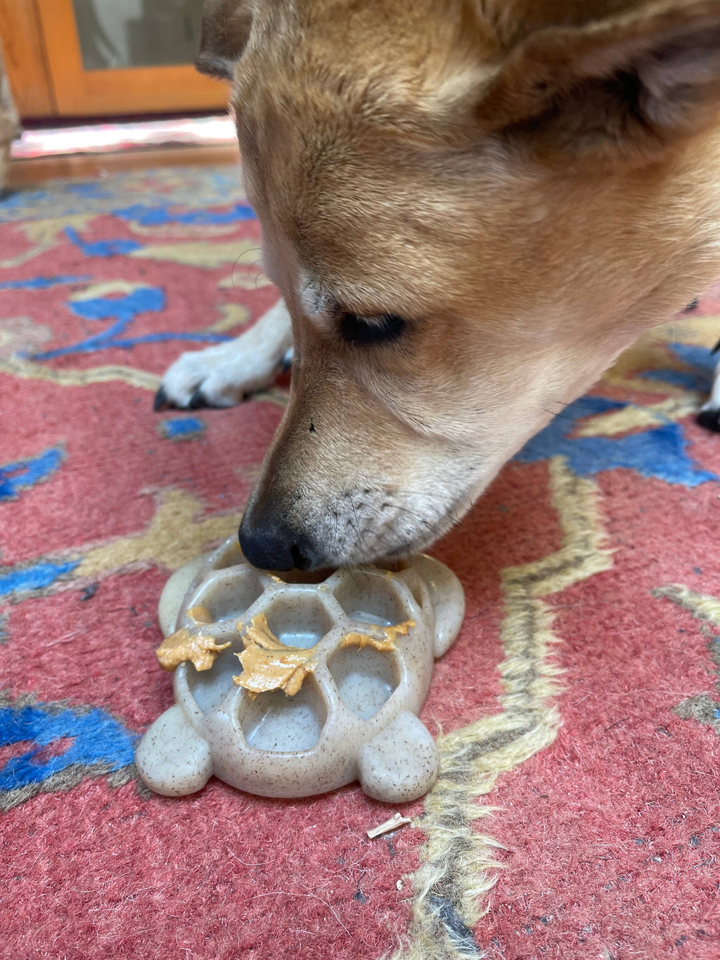 Turtle Durable Nylon Chew and Enrichment Toy: Turtle Nylon Toy - Brown