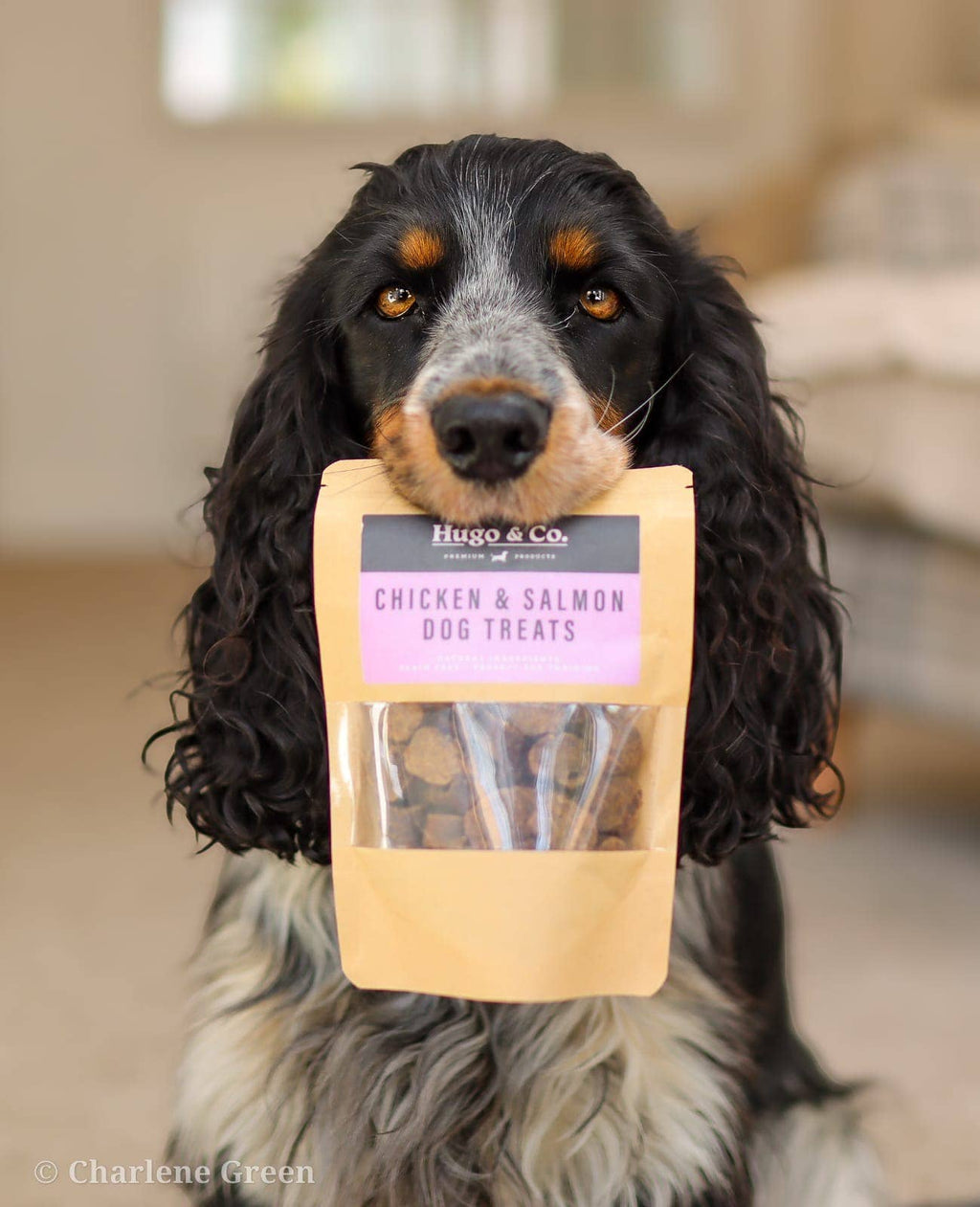 Salmon & Chicken Dog Treats - 75g