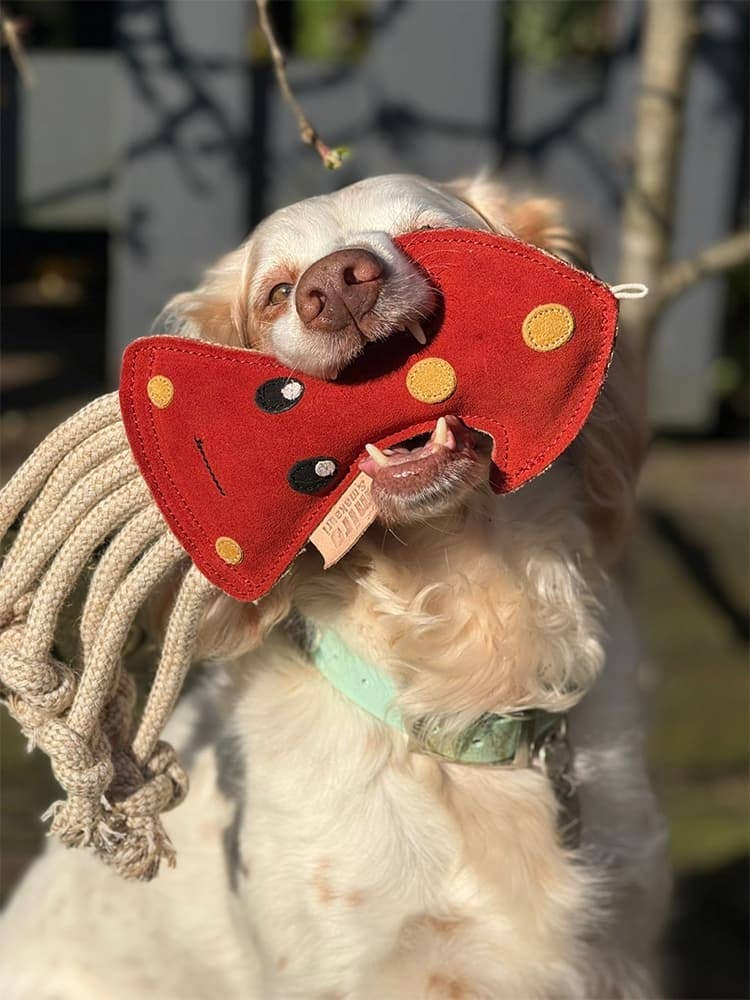 Eco Dog Toys By Miro & Makauri - Scottie Squid: Scottie Squid