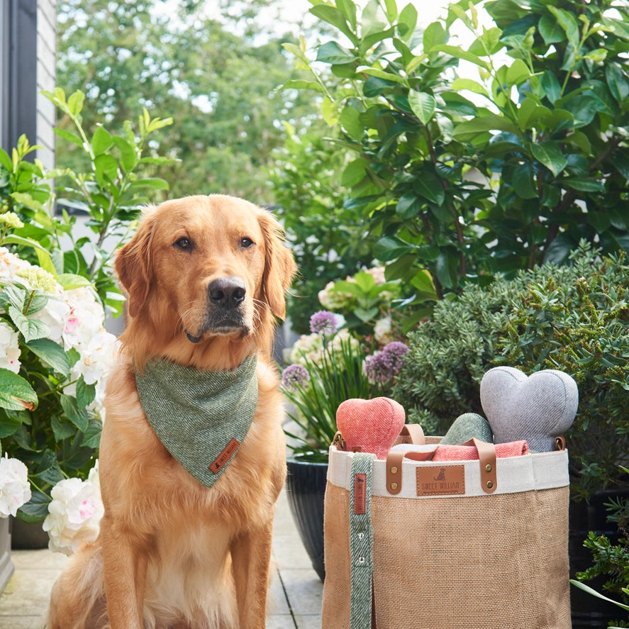 Dog Toy - Grey Tweed Bone - Large