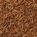 Hutton Mill Mealworms 500g
