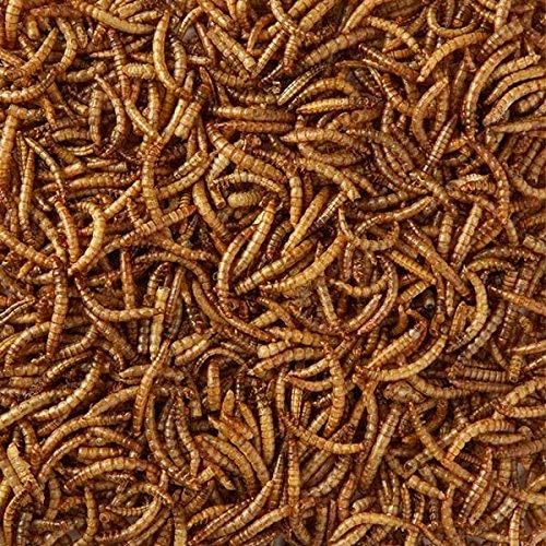 Hutton Mill Mealworms 500g