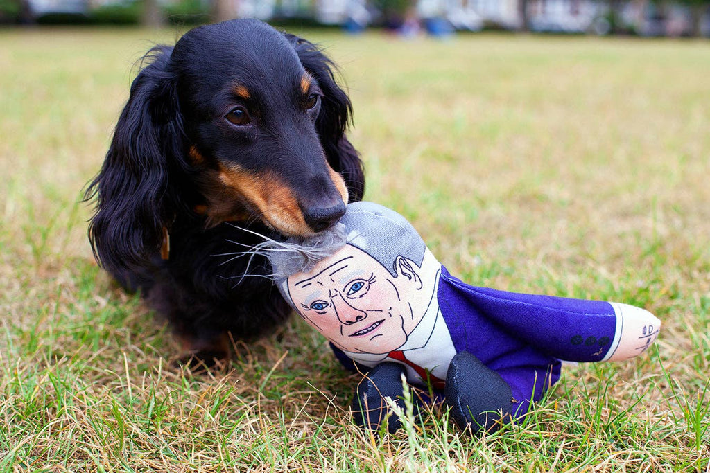 Keir Starmer Dog Toy: Small dog