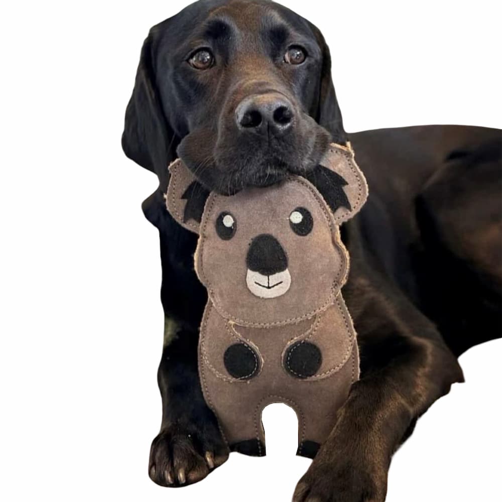 Eco Dog Toys By Miro & Makauri - Kelvin Koala: Kelvin Koala