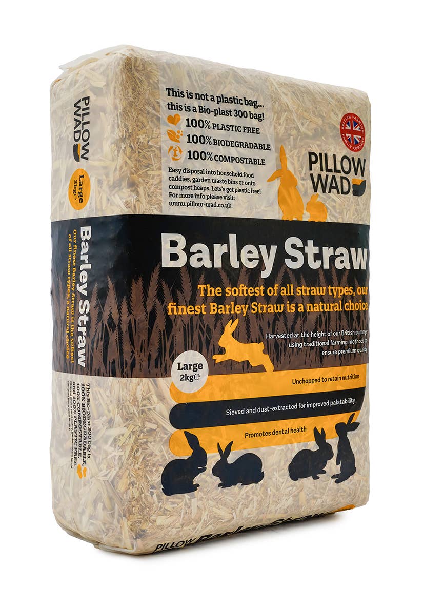 Large Bio Straw