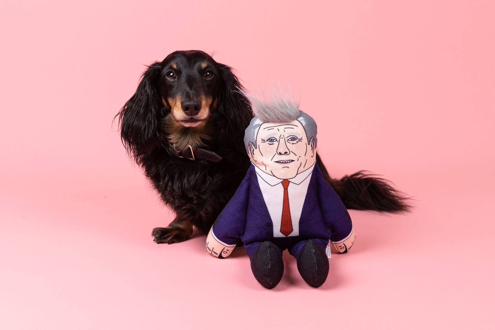 Keir Starmer Dog Toy: Small dog
