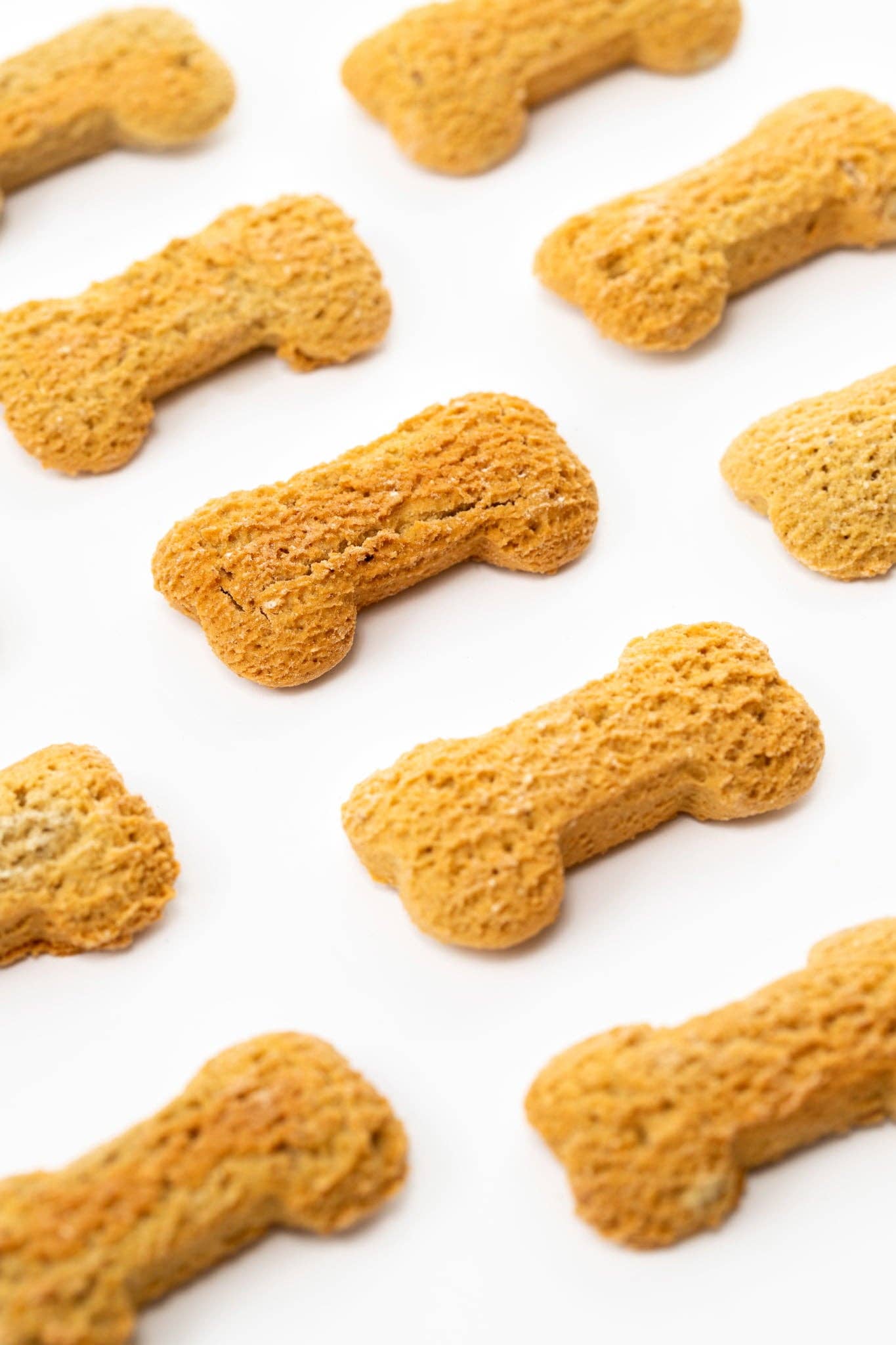 Peanut Butter Bones - Nutritionist Approved Dog Treats: Pouch (Single) - Home Compostable