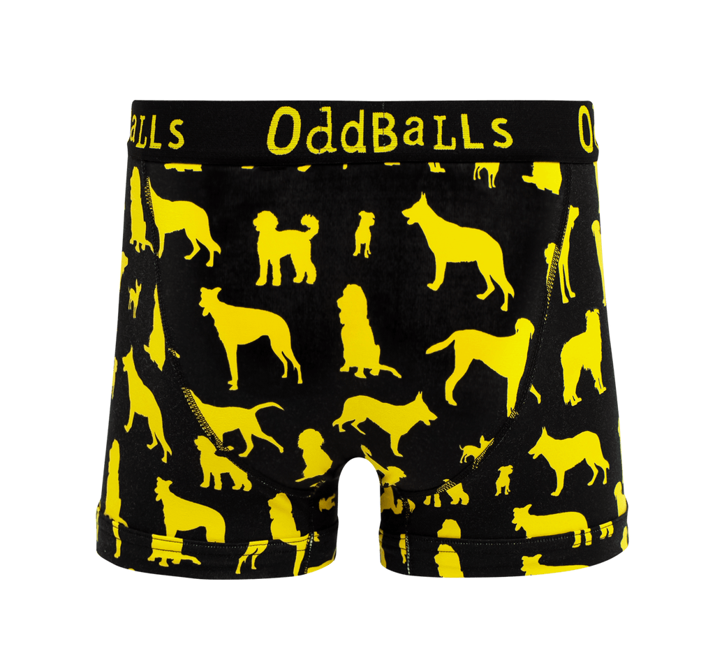 Dogs Trust - Mens Cotton Boxer Shorts: Small