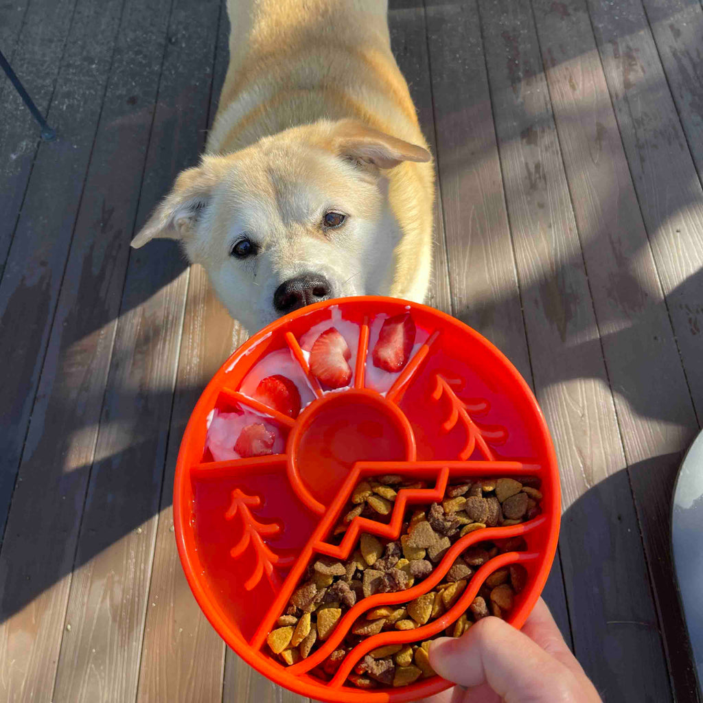 Great Outdoors Design eBowl Enrichment Slow Feeder Bowl for: Orange