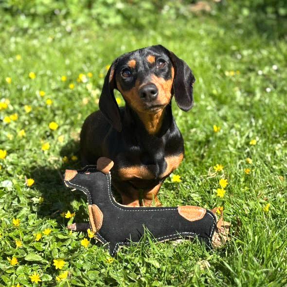 Eco Dog Toys By Miro & Makauri - Douglas Dachshund: Douglas