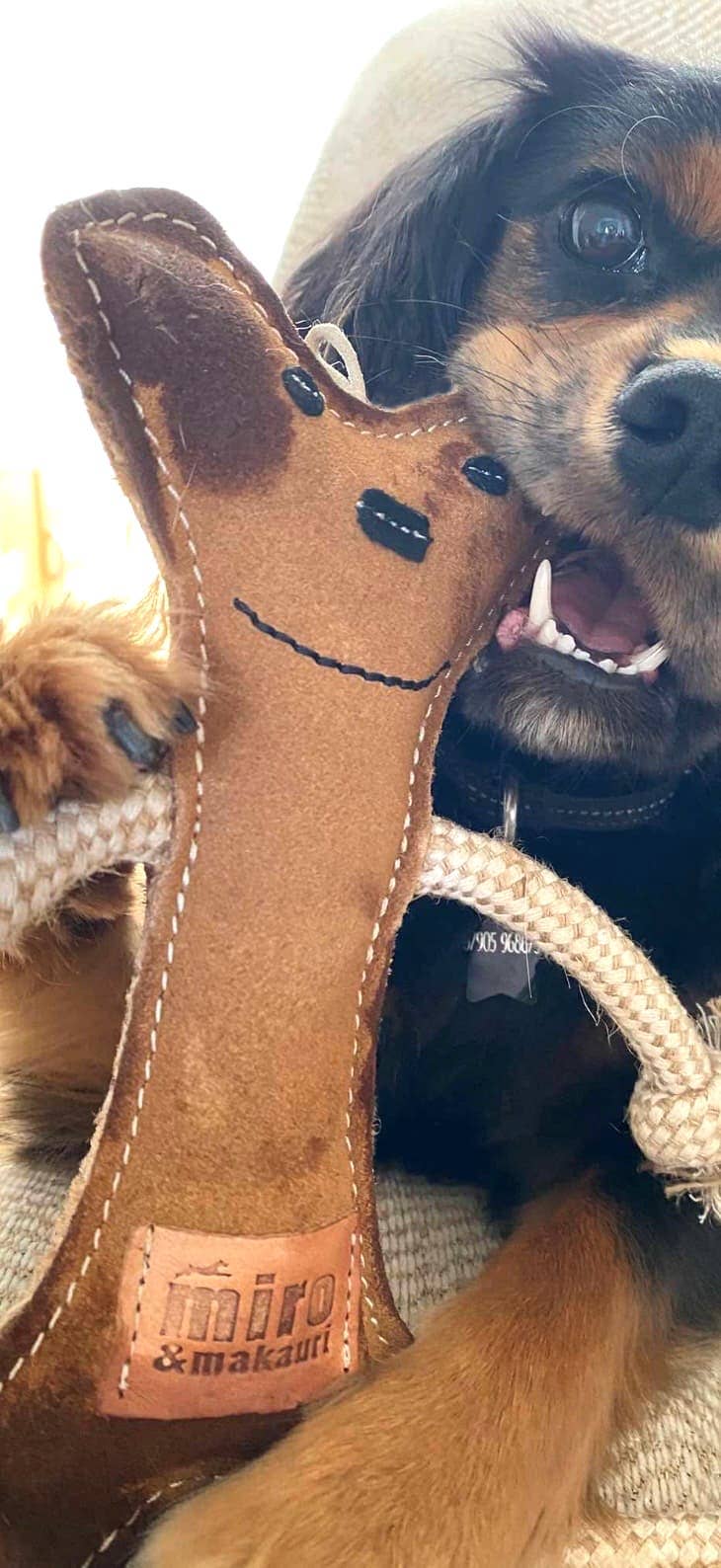 Eco Dog Toys By Miro & Makauri - Bernard Bone.: Bernard