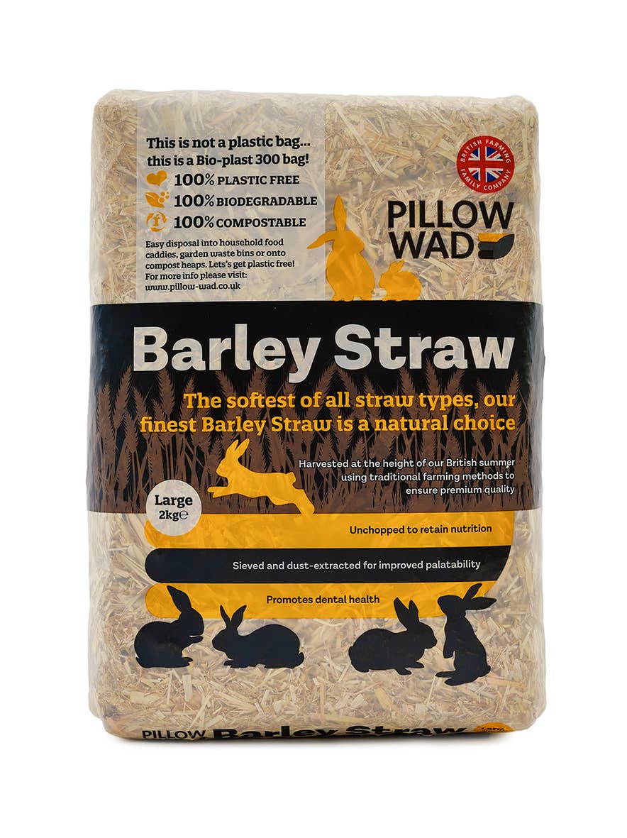 Large Bio Straw