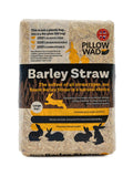 Large Bio Straw