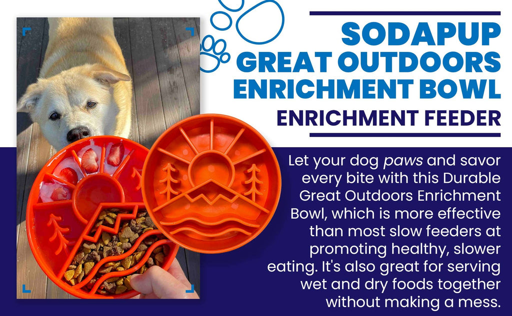 Great Outdoors Design eBowl Enrichment Slow Feeder Bowl for: Orange