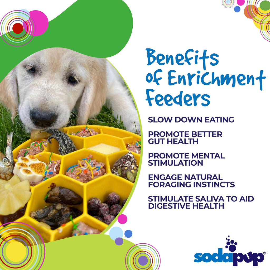 Honeycomb Design eBowl Enrichment Slow Feeder Bowl for Dogs: Yellow