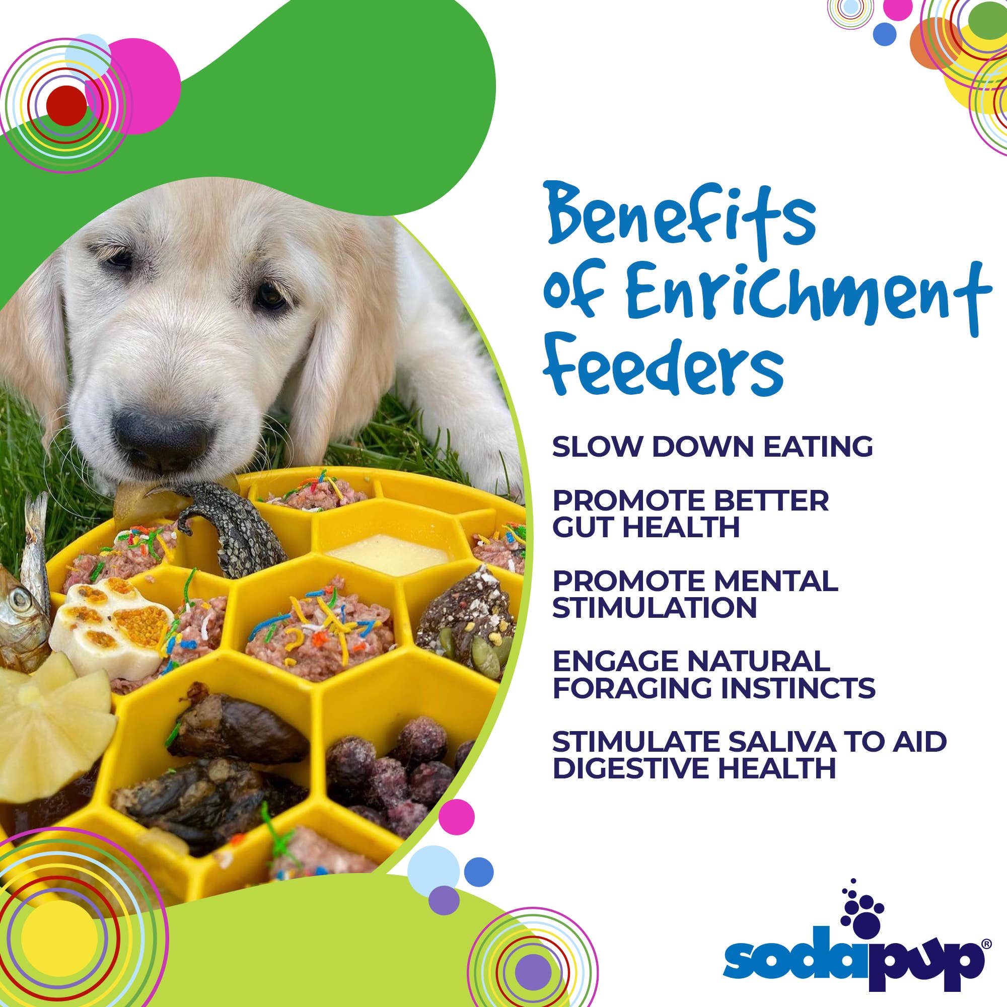 Honeycomb Design eBowl Enrichment Slow Feeder Bowl for Dogs: Yellow
