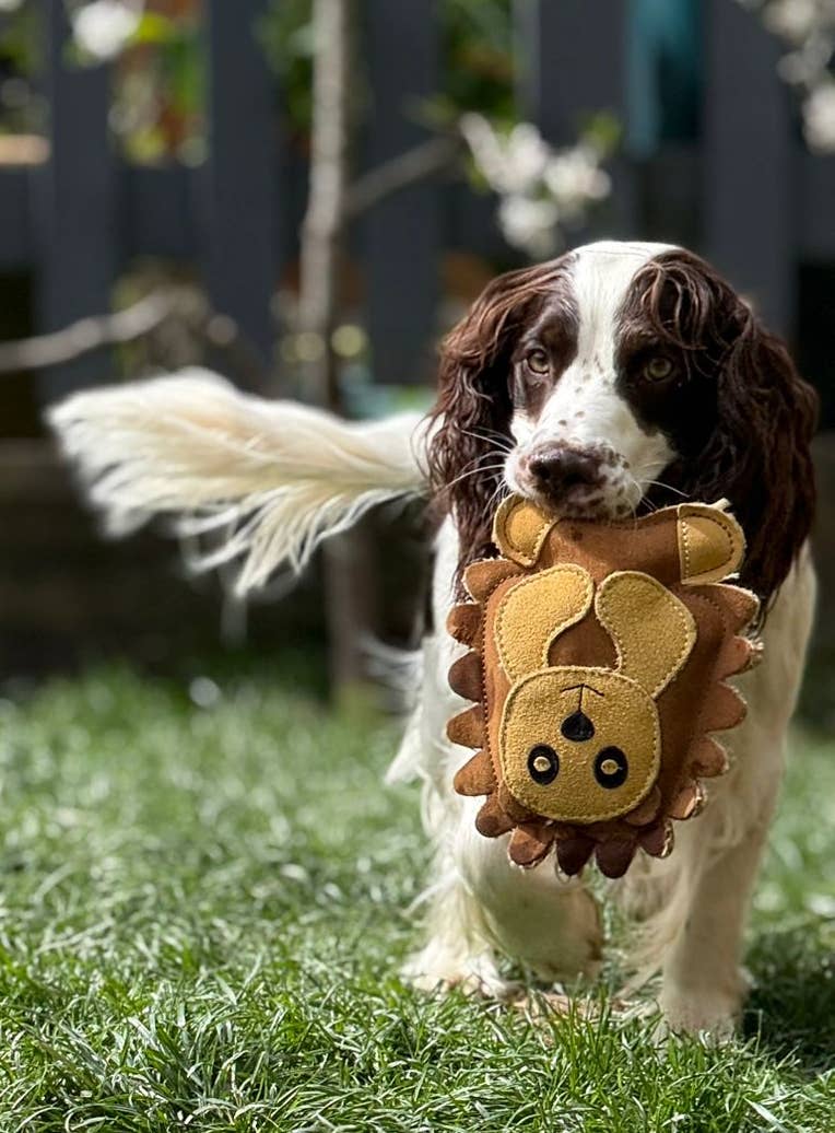 Eco Dog Toys By Miro & Makauri - Horace Hedgehog: Horace Hegehog