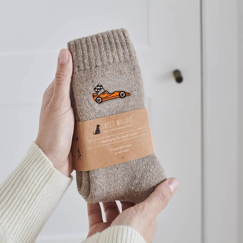 Formula One Sports Lover wool socks: Blue