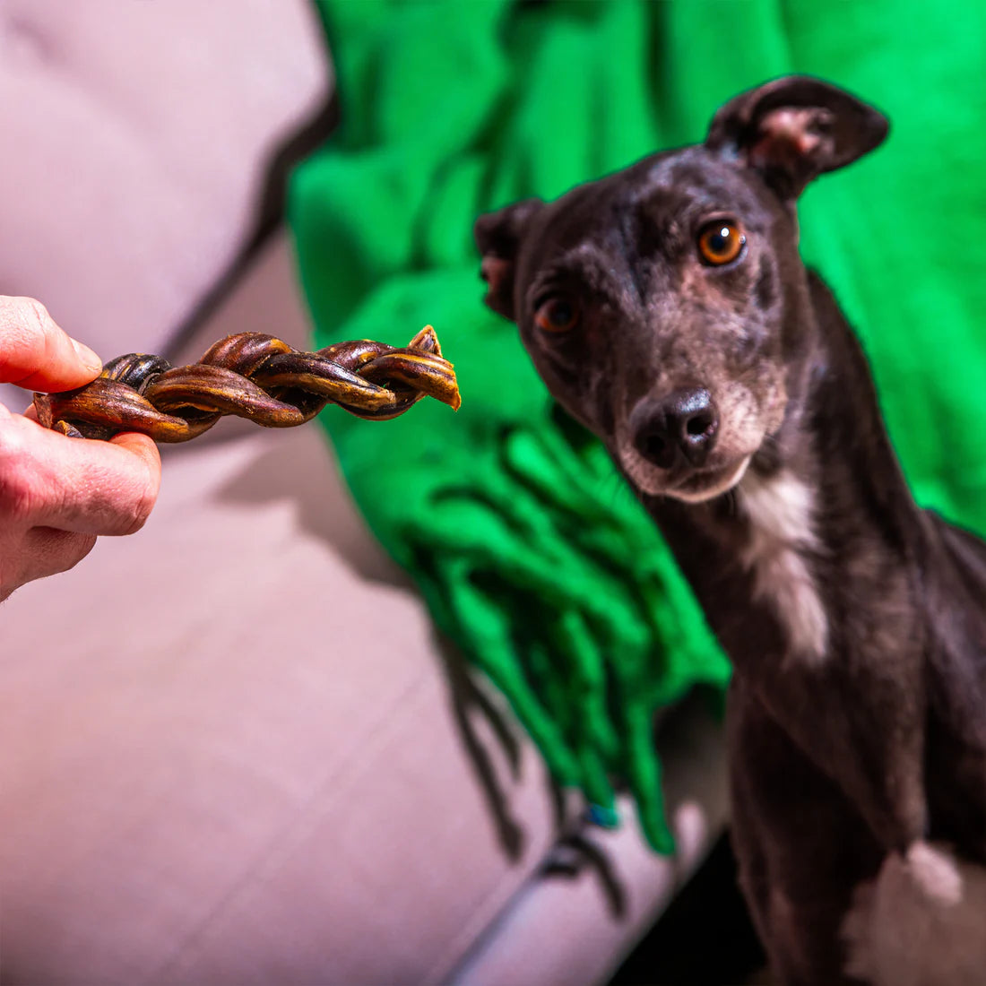 Braided Pizzles - 24cm 2pcs