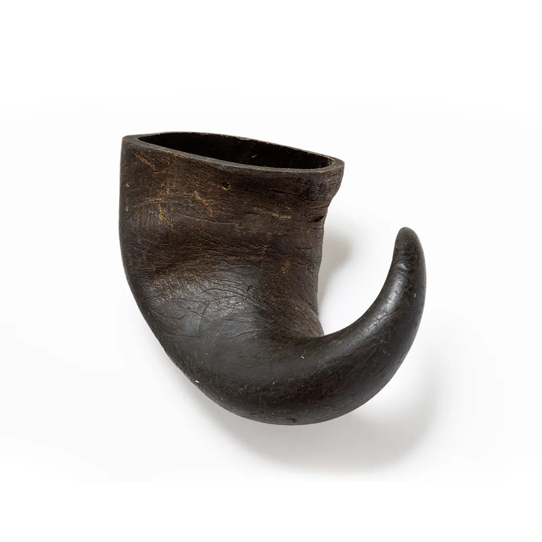 Buffalo Horns - Small 1pc