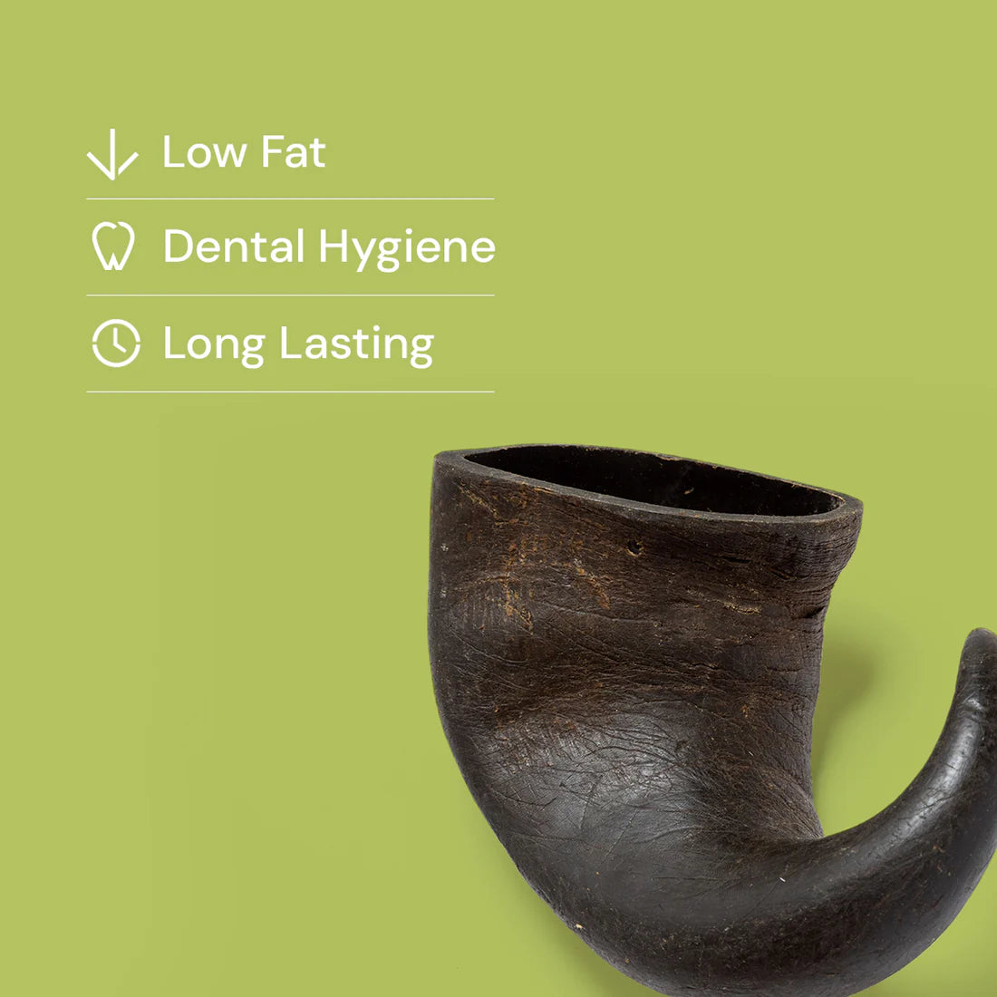 Buffalo Horns - Small 1pc