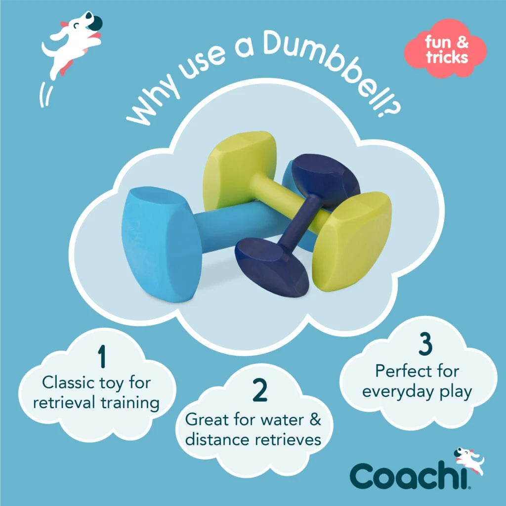 Coachi Training Dumbbell