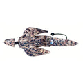 LITE Dead Bird - Hen Pheasant