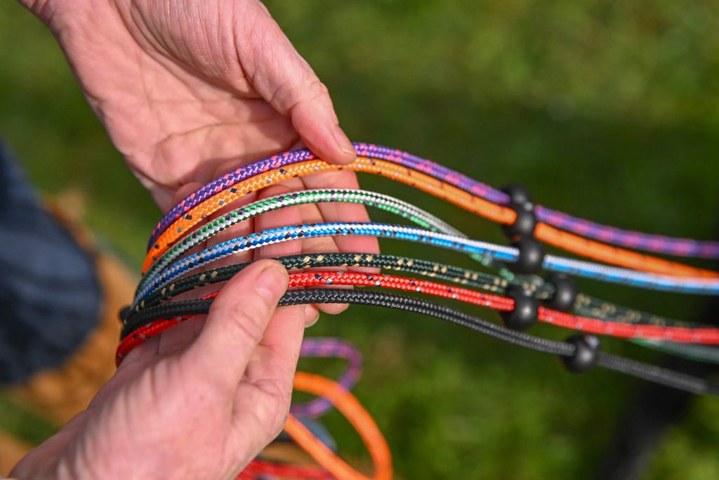 Sporting Saint Field Pro Slip Lead
