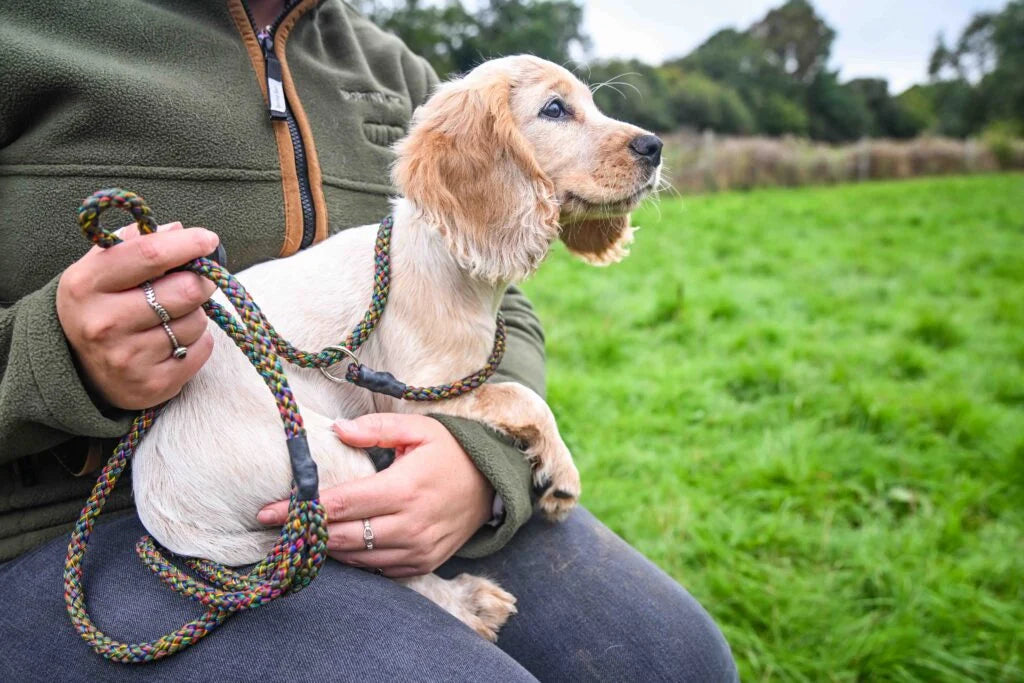 Gundog Slip Lead - Tweed 1.2m