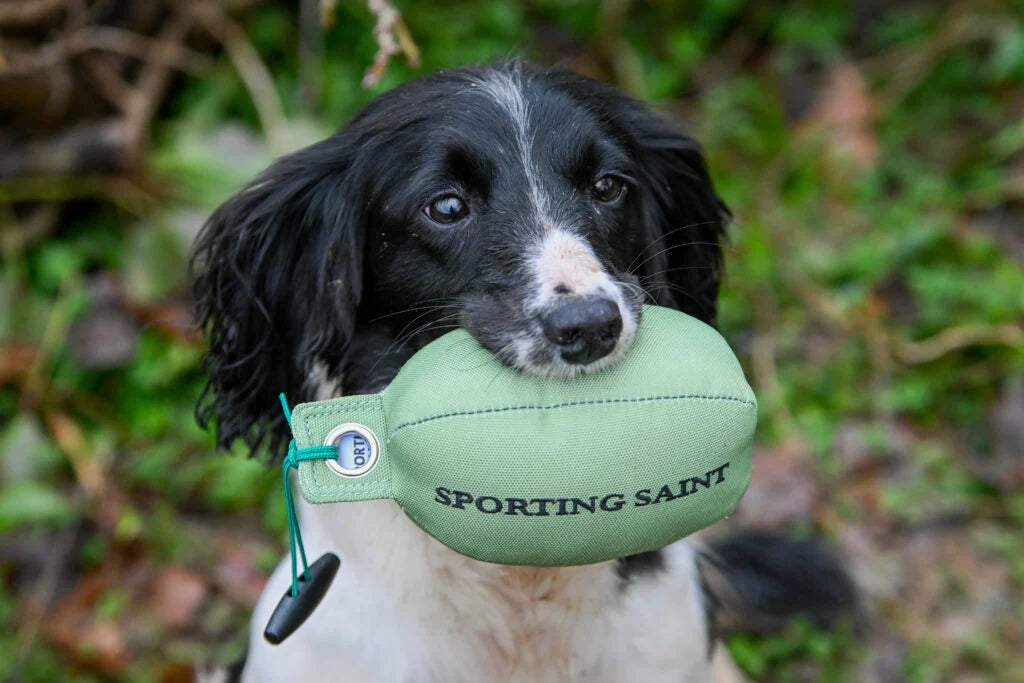 Sporting Saint Retrieve Dummy - Partridge