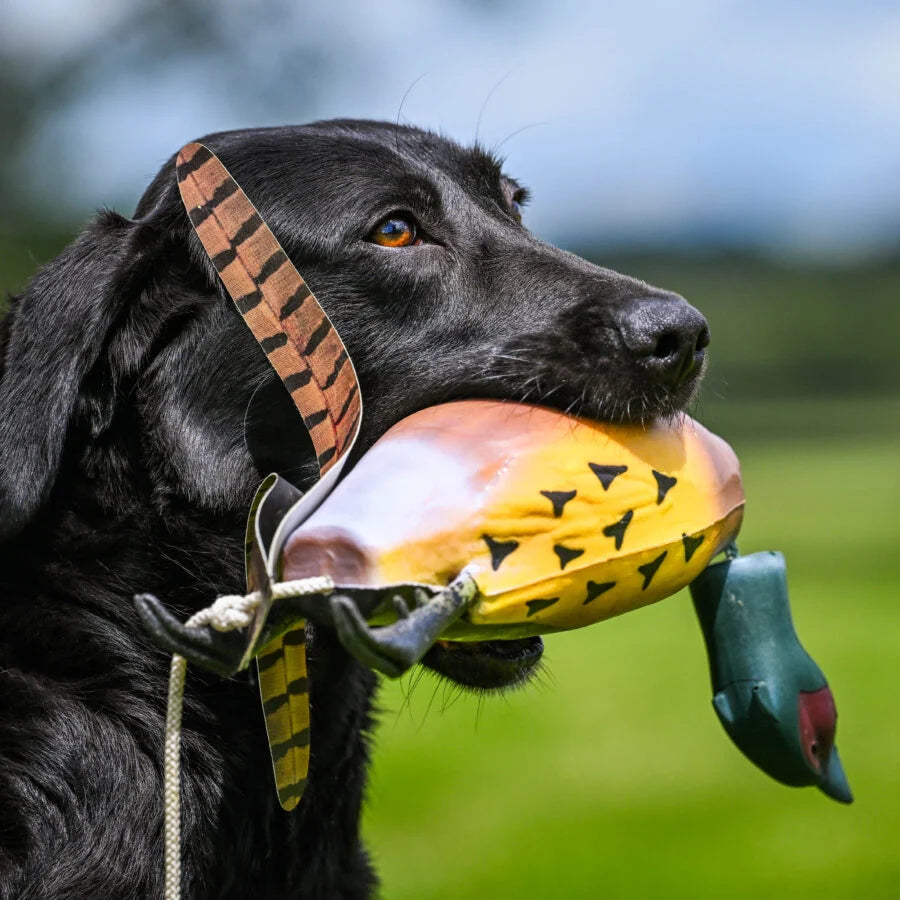 Sporting Saint Game Bird Pheasant
