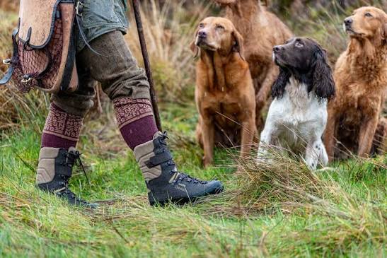 A person in hunting attire stands in tall grass with a staff, accompanied by three dogs including a black-and-white springer spaniel and two golden retrievers.