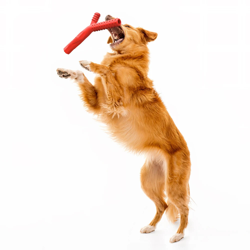 Playology Fetch stick - beef - large