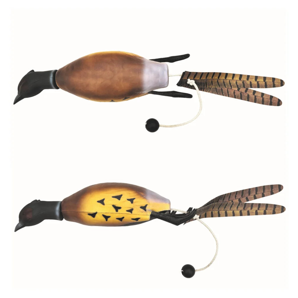 Sporting Saint Game Bird Pheasant